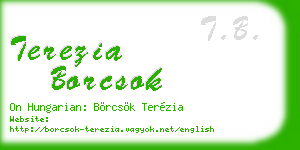 terezia borcsok business card