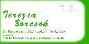 terezia borcsok business card